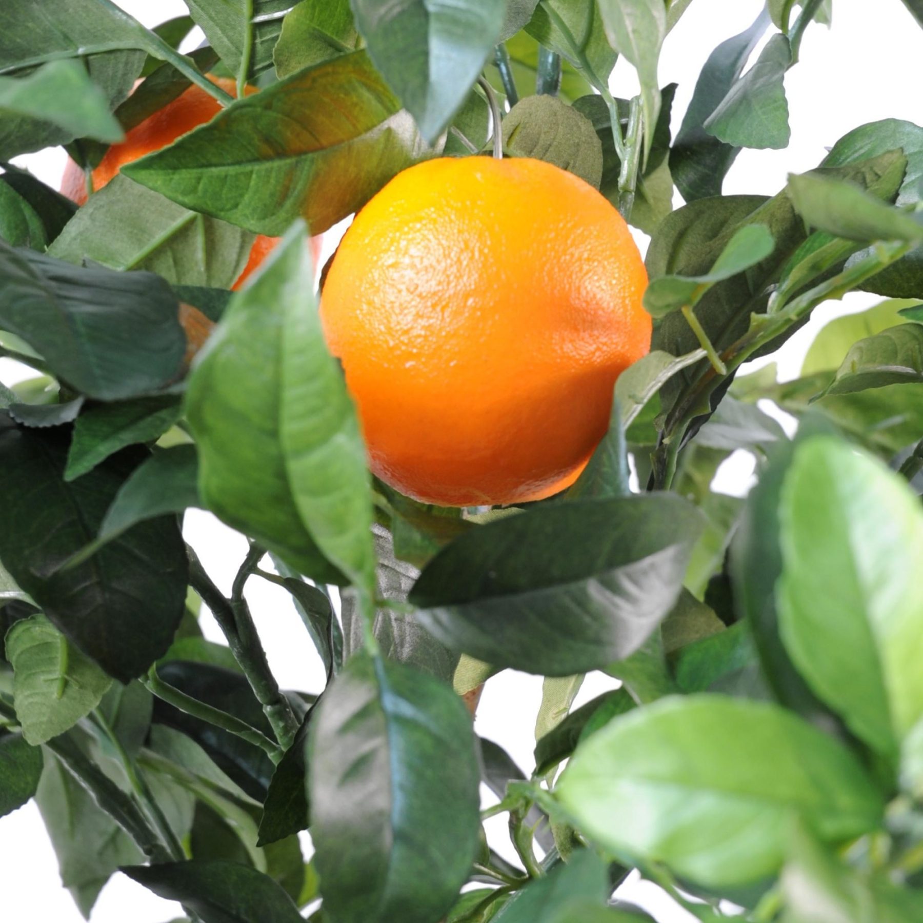 Oranger décoratif de 150 cm à deux troncs avec feuillage vert et fruits orange — vue complémentaire