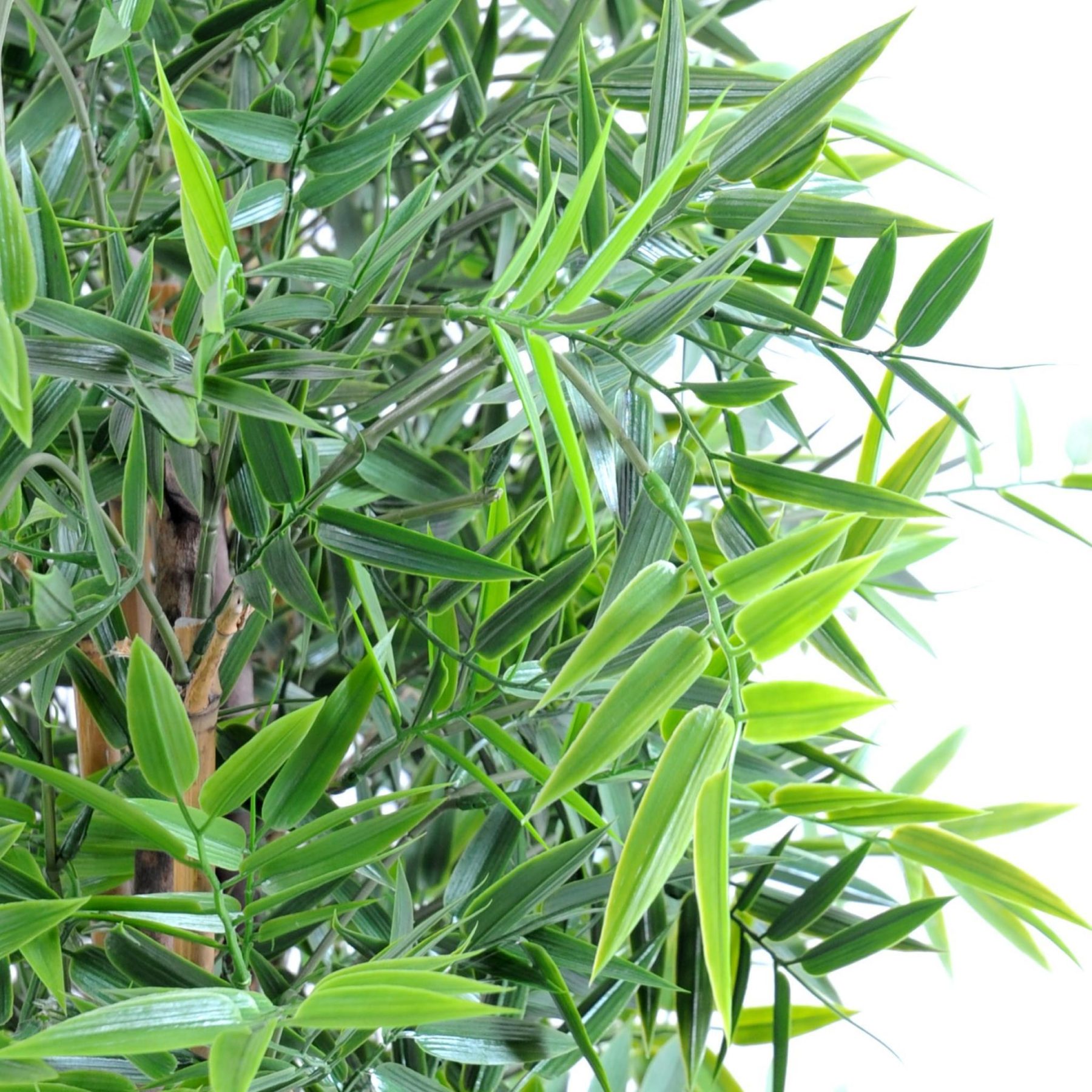 Écran de bambou artificiel vert à 19 cannes sur socle en bois — vue complémentaire