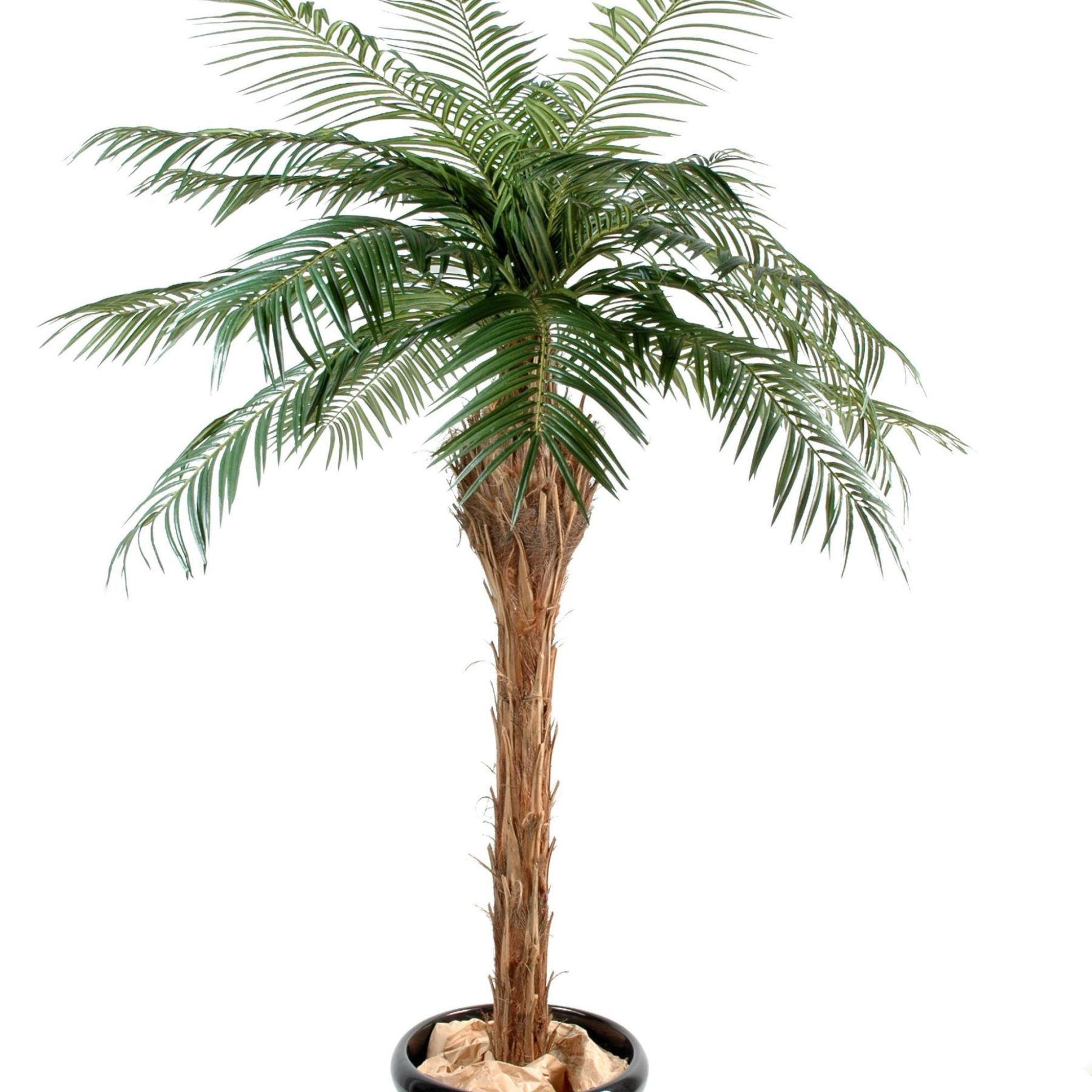 Palmier Phoenix artificiel à douze palmes vertes sur tronc en bois — vue complémentaire