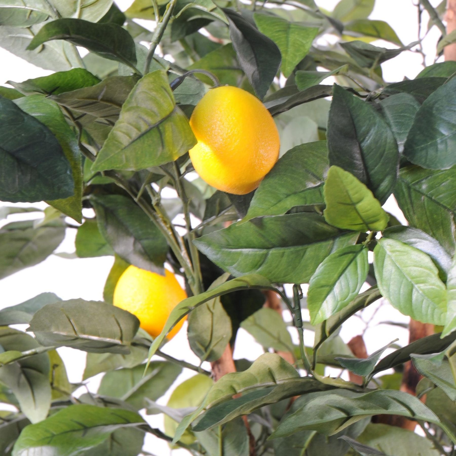 Citronnier décoratif de 150 cm avec tronc en bois et feuillage vert — vue complémentaire